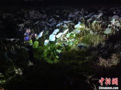 浙江建德：“生态警务”助推“荷美经济” 实现一方共富